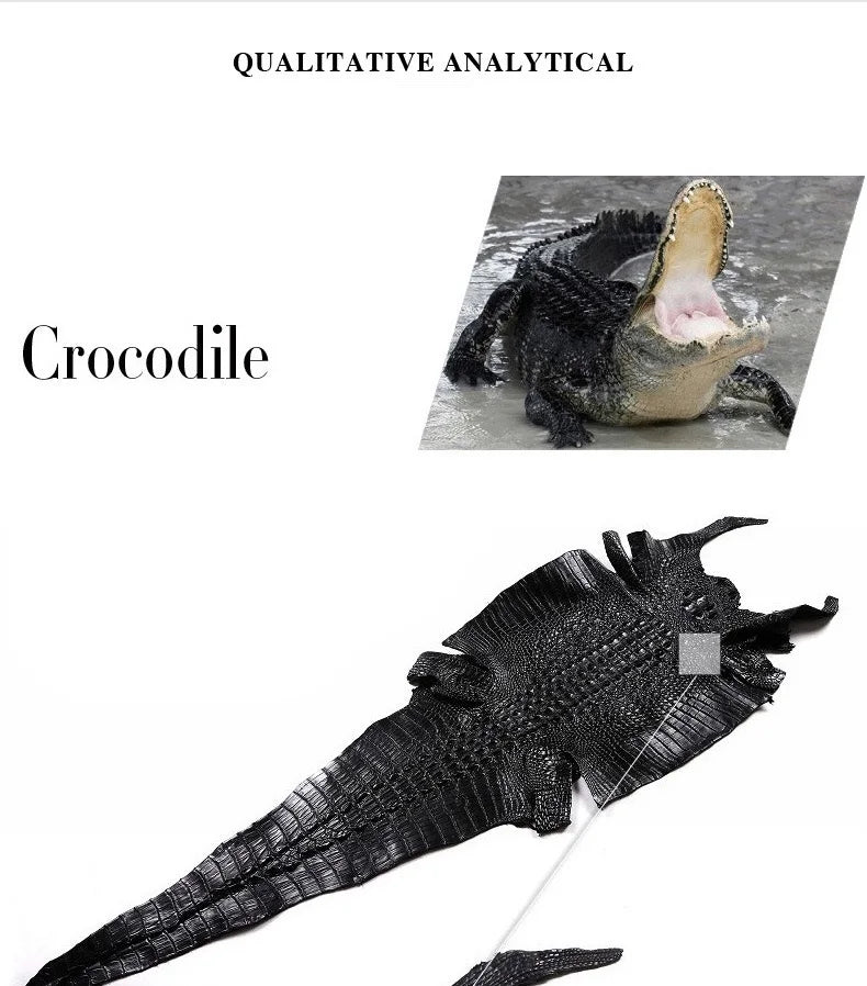 TREKHE | Imperial Duo-Tone Crocodile Sneakers – White & Blue Lace-Up Board Shoes